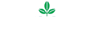Jumex
